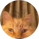 Maria L. profile picture